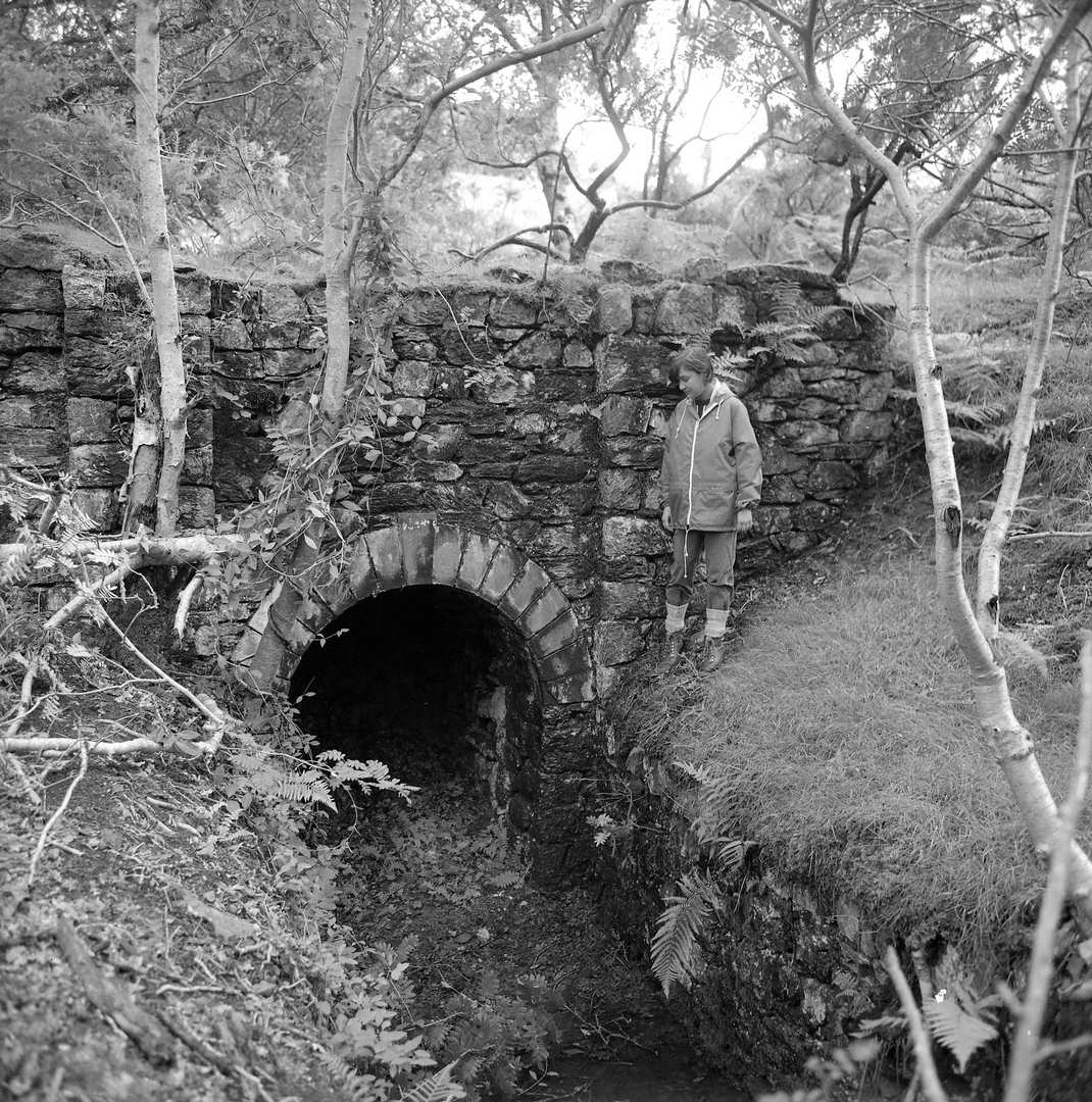 Bronfloyd Mine adit 1985, submitted by Dickie Bird on 14-03-2026.
© Richard Bird Bronfloyd Mine adit 1985